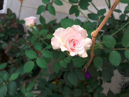 QQ��ͼ20140919213613.jpg