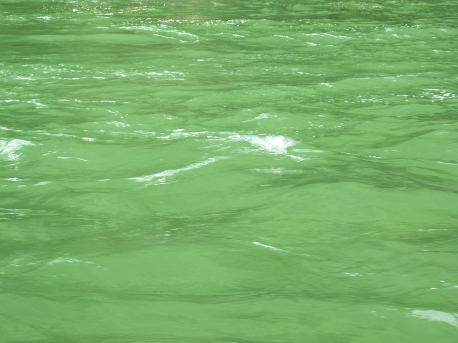 ���� 228_����.jpg