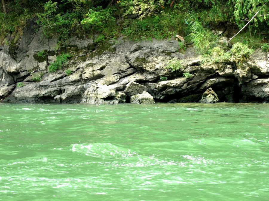 ���� 229_����.jpg