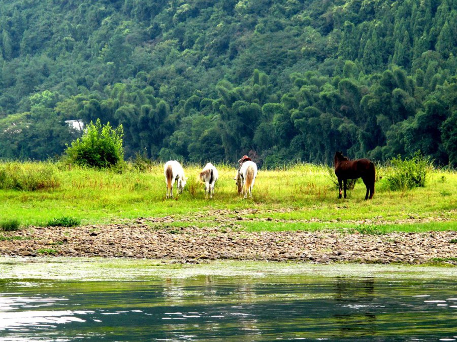 ���� 240_����.jpg