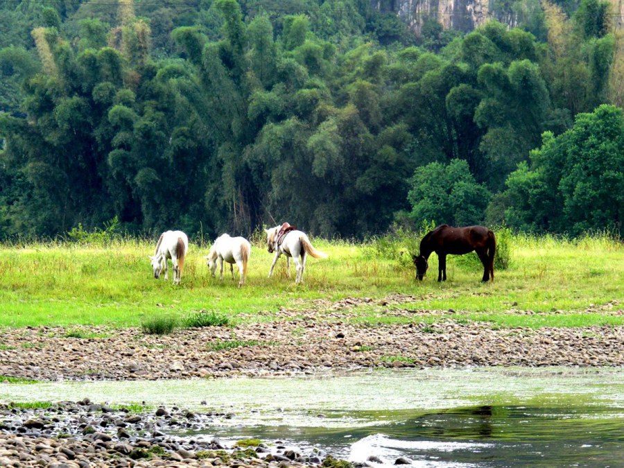 ���� 241_����.jpg