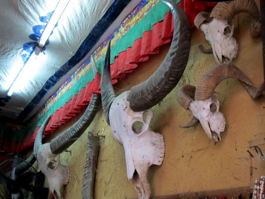 ���� 459_����.jpg