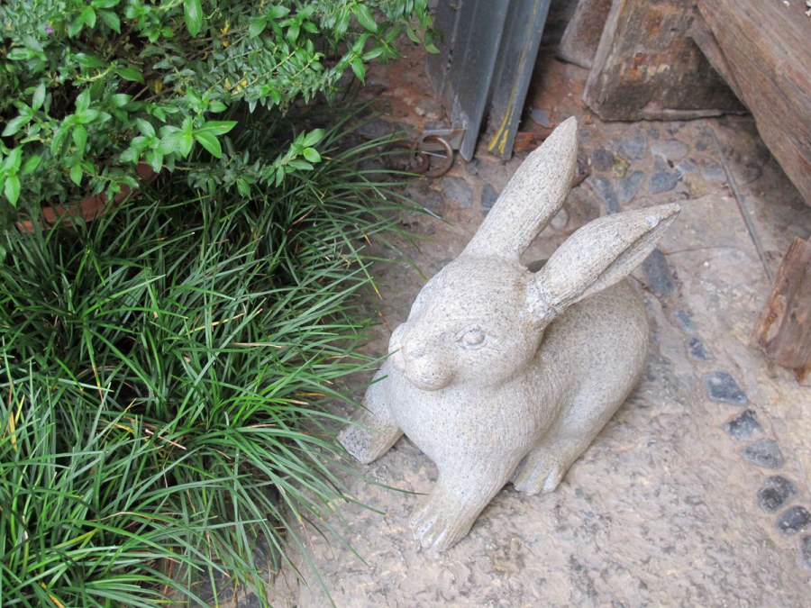 ���� 503_����.jpg