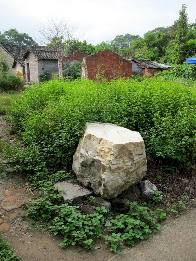 ���� 541_����.jpg