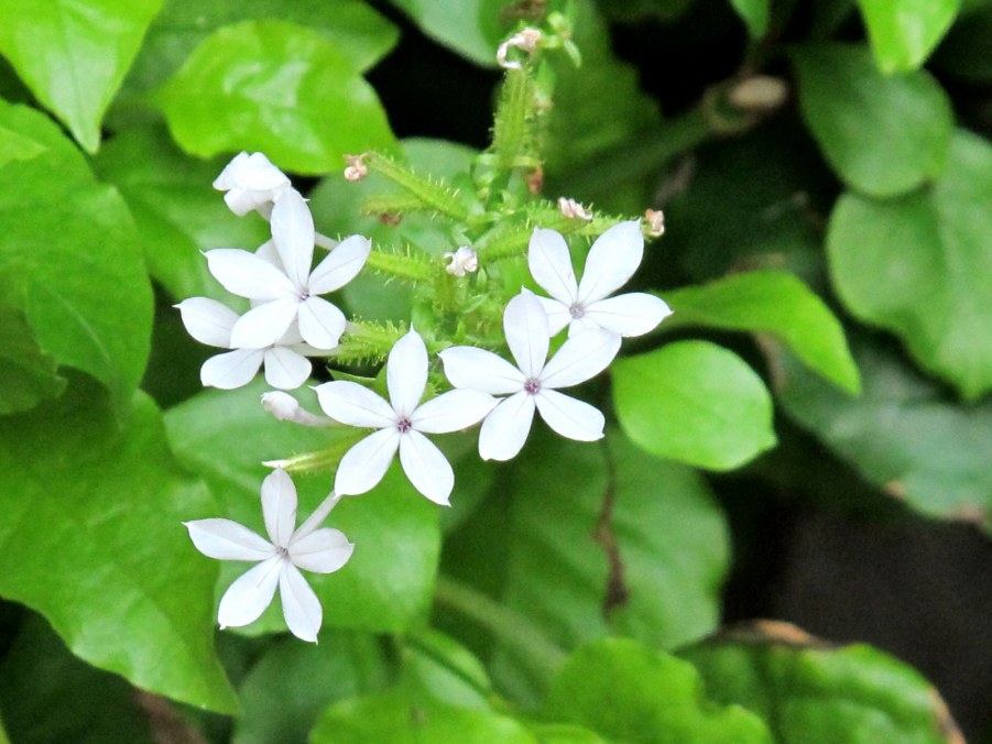 ���� 543_����.jpg