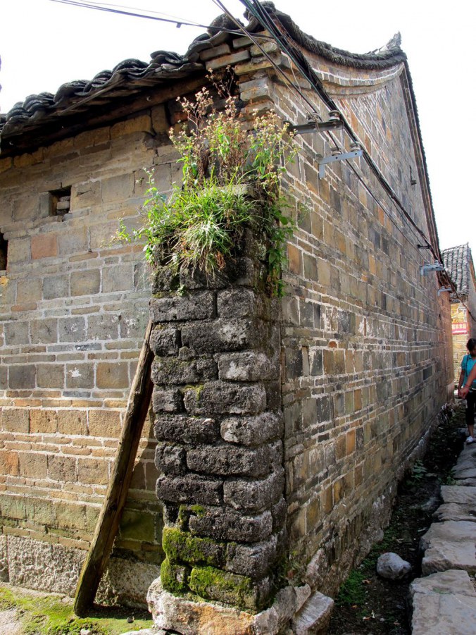 ���� 544_����.jpg