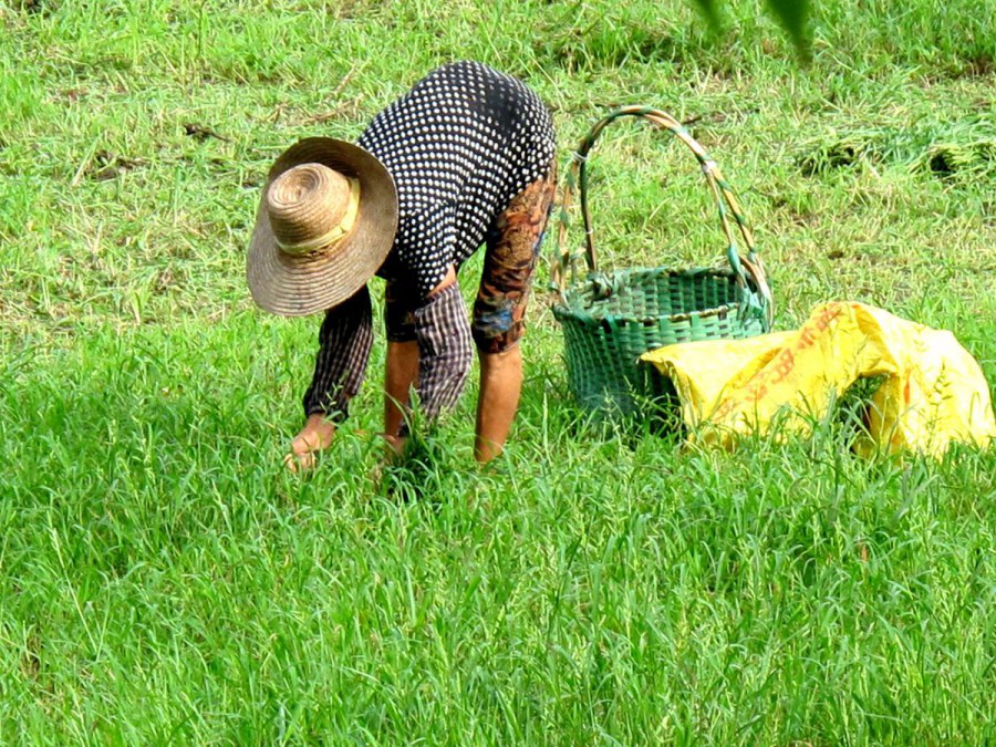 ���� 558_����.jpg