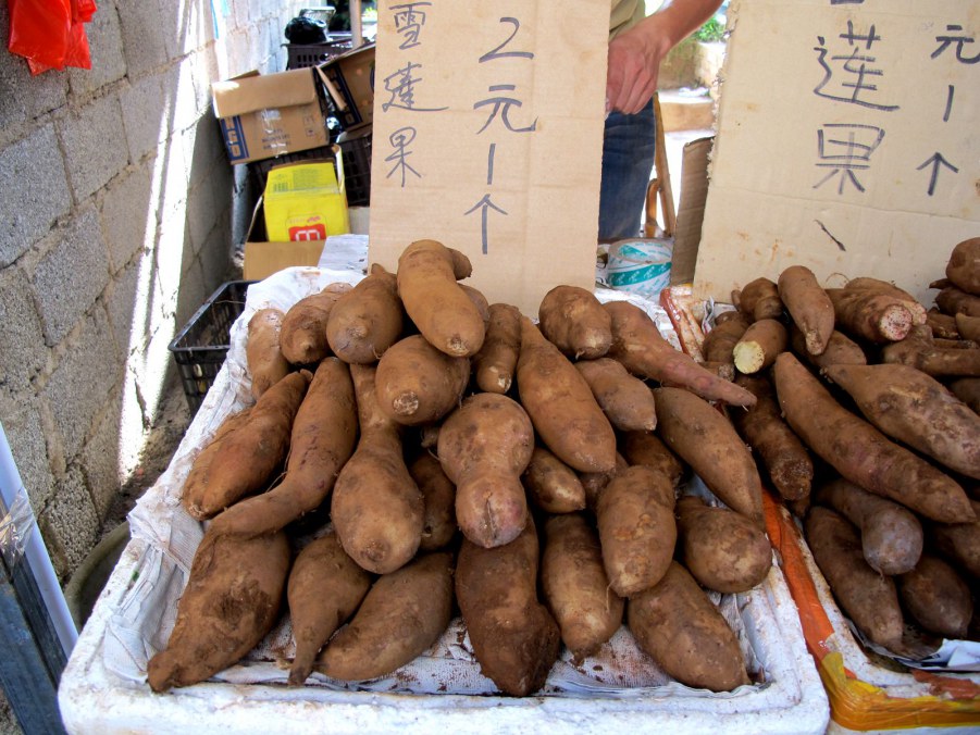 ���� 548_����.jpg