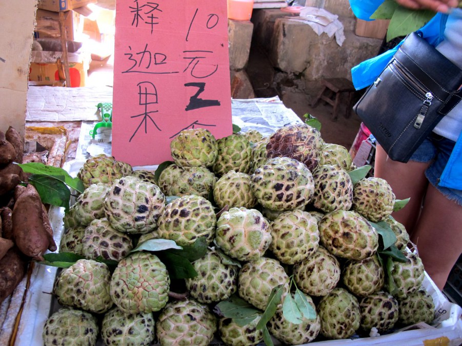 ���� 549_����.jpg