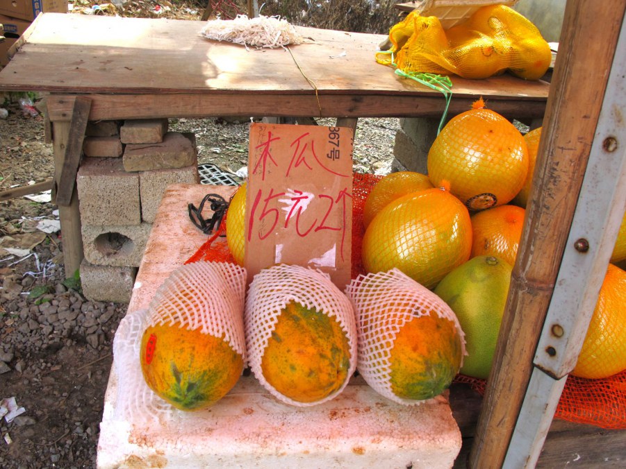 ���� 552_����.jpg