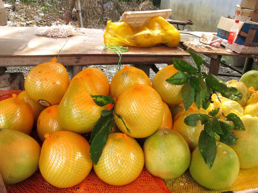 ���� 553_����.jpg