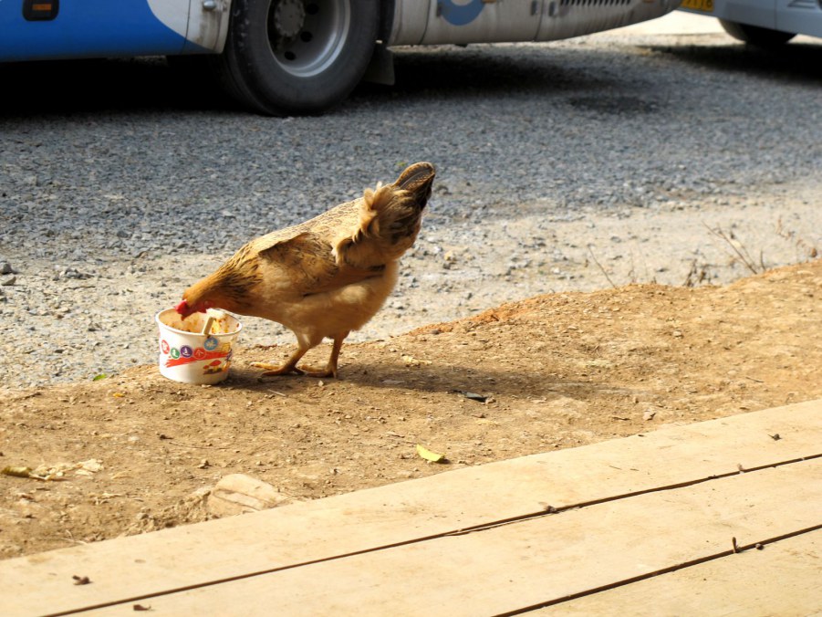 ���� 557_����.jpg