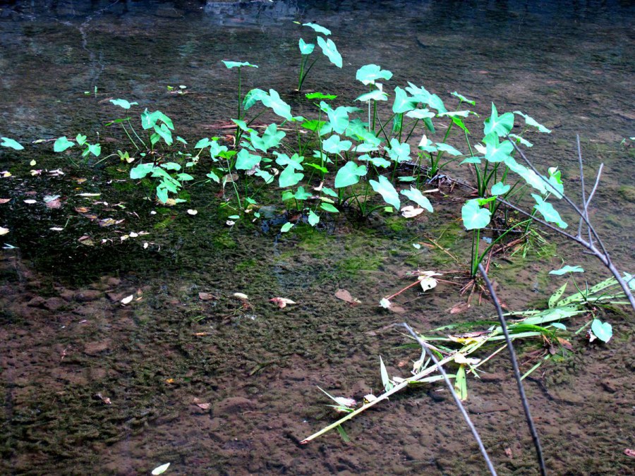 ���� 583_����.jpg