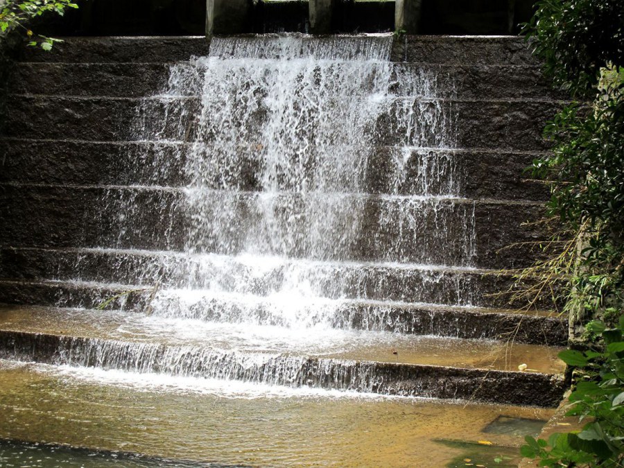 ���� 585_����.jpg