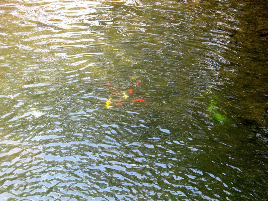 ���� 589_����.jpg