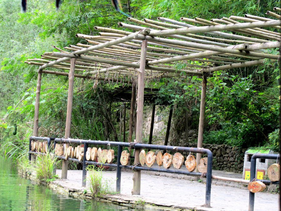 ���� 595_����.jpg