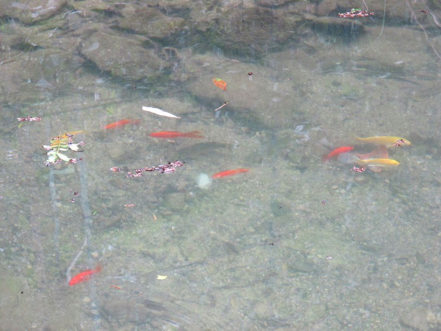 ���� 599_����.jpg