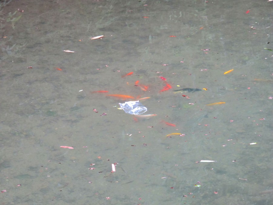 ���� 600_����.jpg