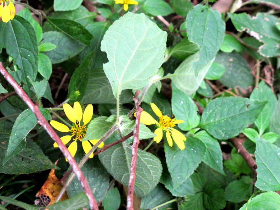 ���� 602_����.jpg