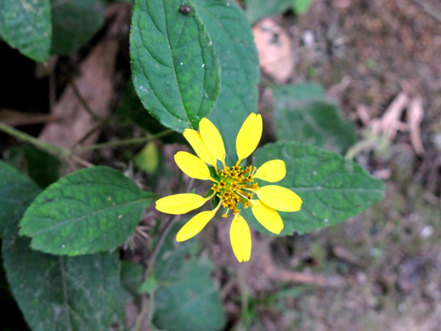 ���� 603_����.jpg