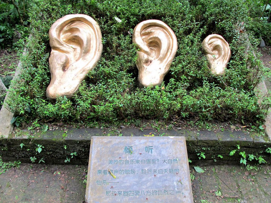 ���� 609_����.jpg