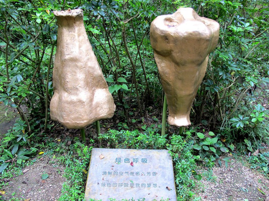 ���� 610_����.jpg