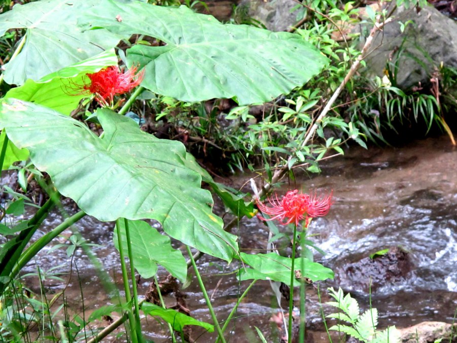 ���� 611_����.jpg