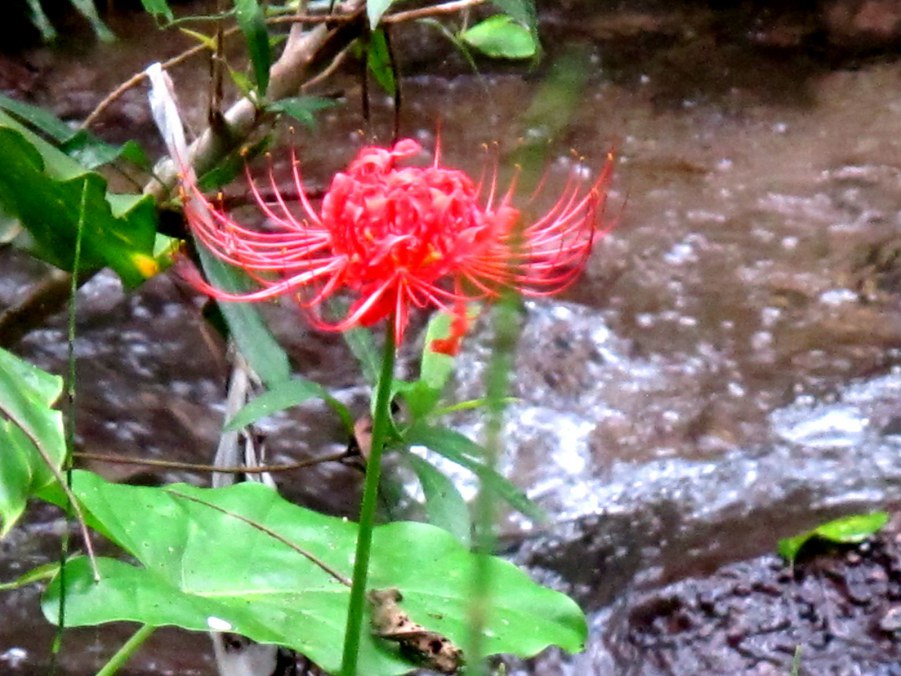 ���� 612_����.jpg