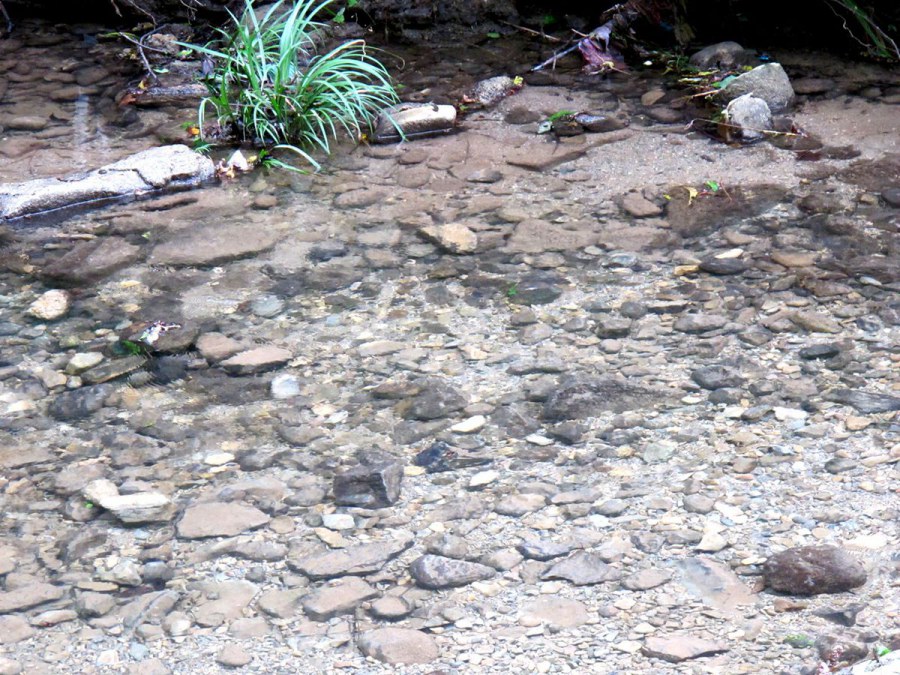 ���� 613_����.jpg