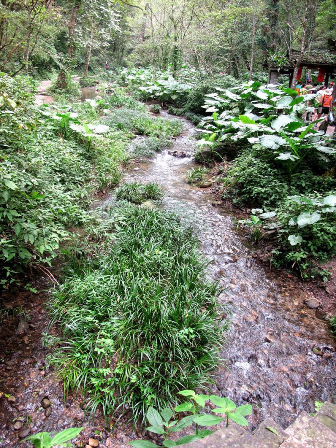 ���� 617_����.jpg