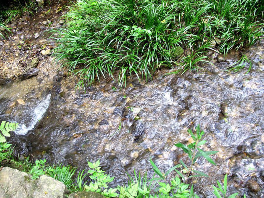 ���� 618_����.jpg