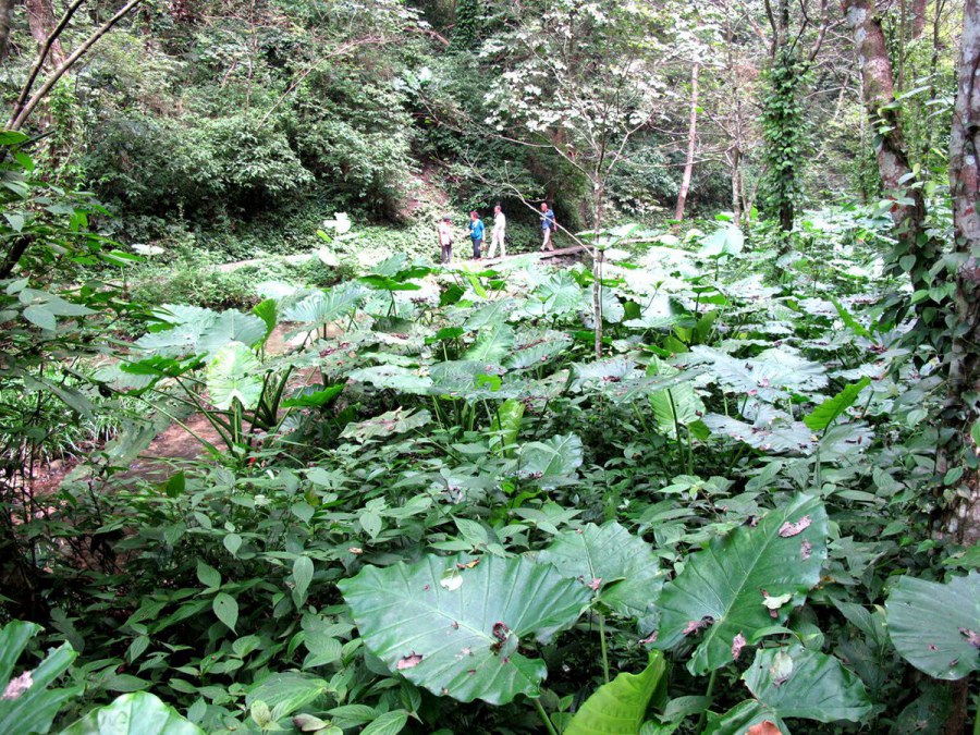 ���� 620_����.jpg