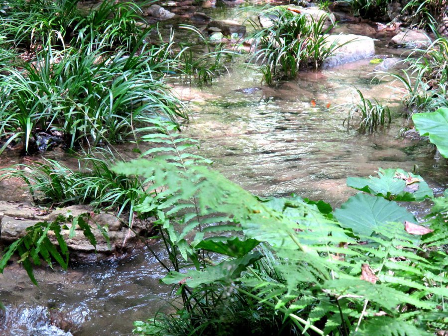 ���� 622_����.jpg