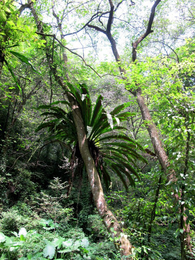 ���� 623_����.jpg