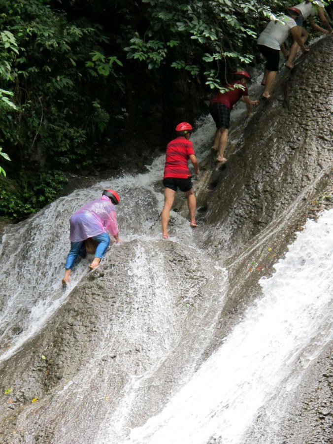 ���� 633_����.jpg