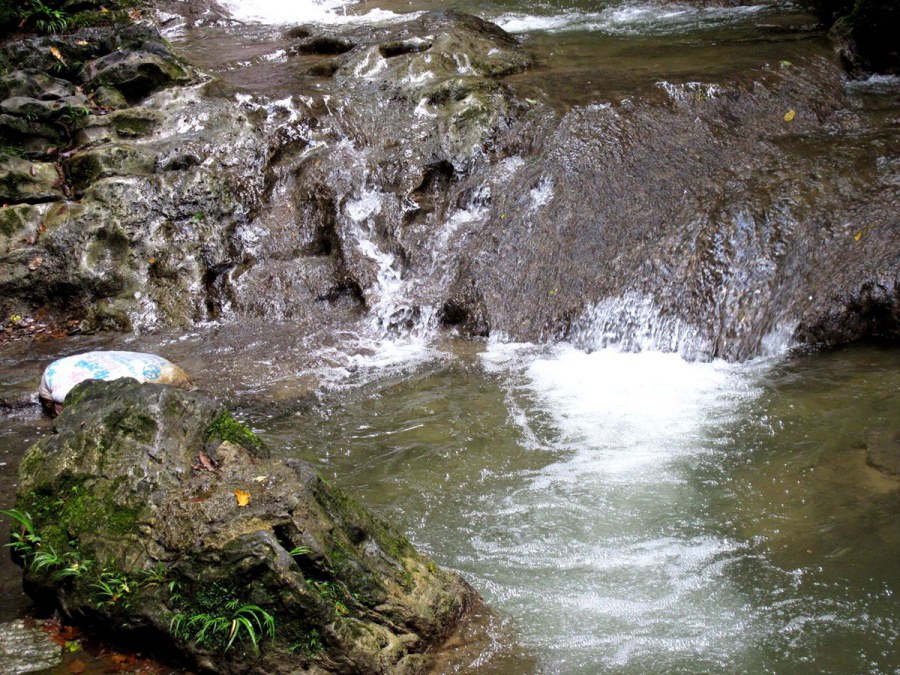 ���� 647_����.jpg