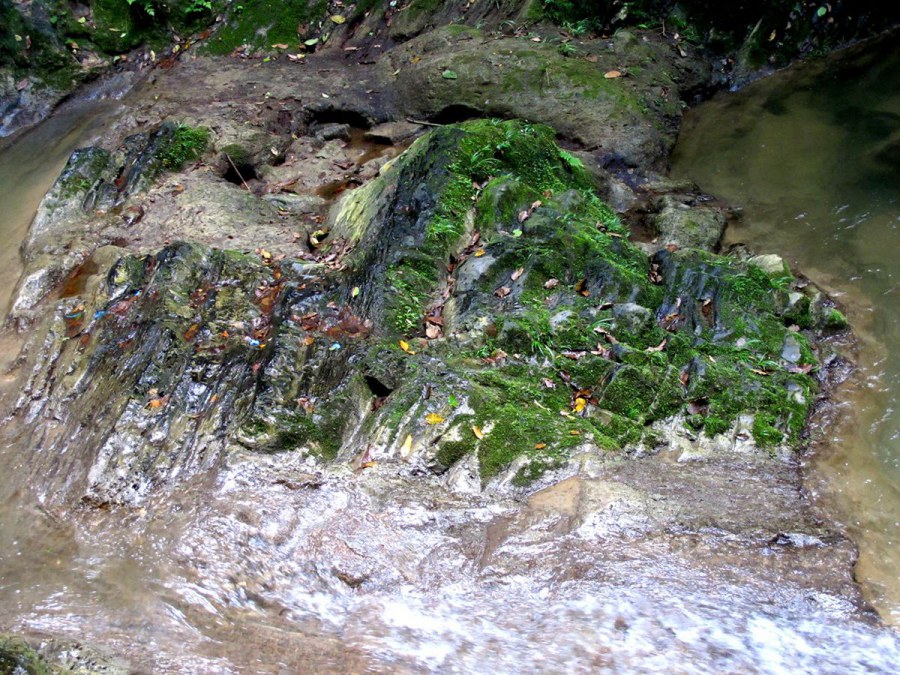 ���� 649_����.jpg