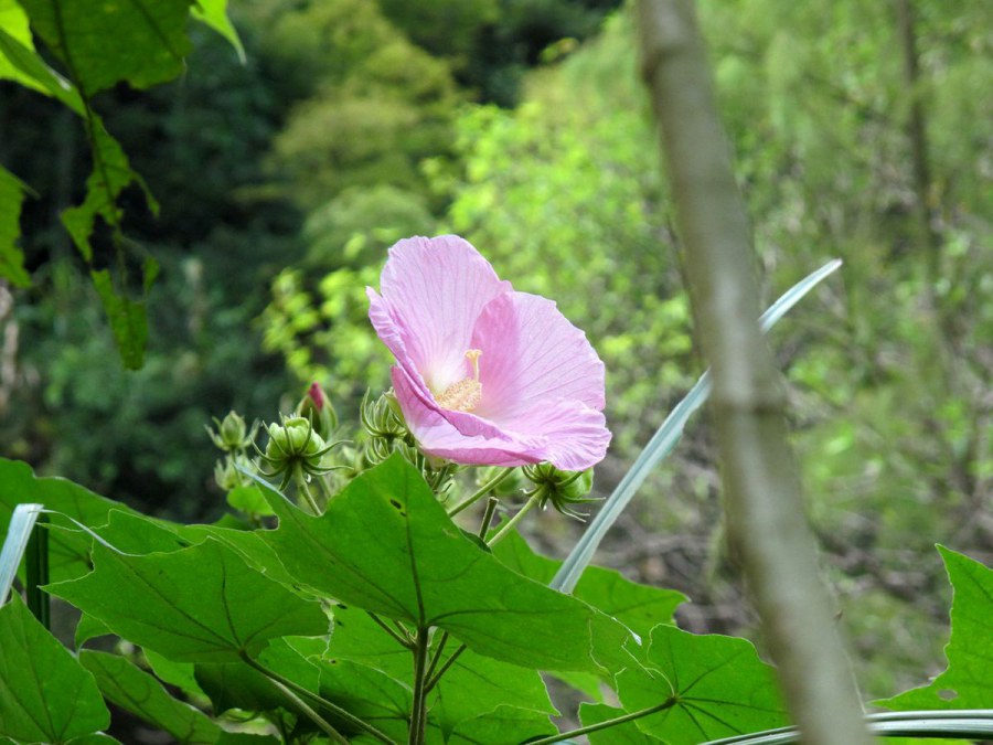 ���� 653_����.jpg