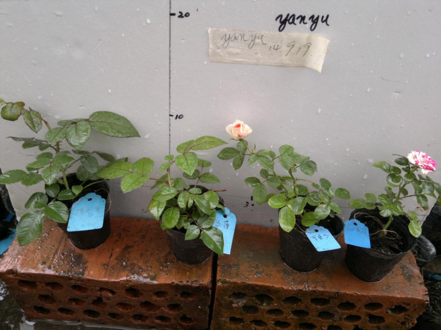 2014-09-19-1632.jpg
