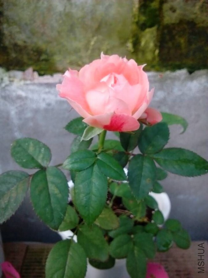 QQͼƬ20140920080809.jpg
