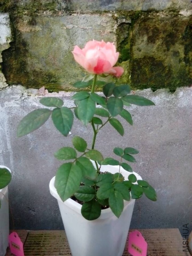 QQͼƬ20140920080820.jpg