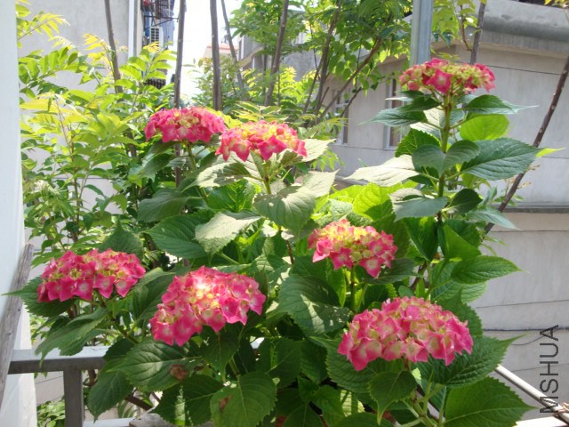 DSC04069.JPG