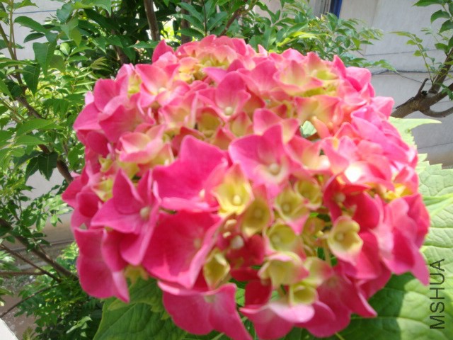 DSC04070.JPG
