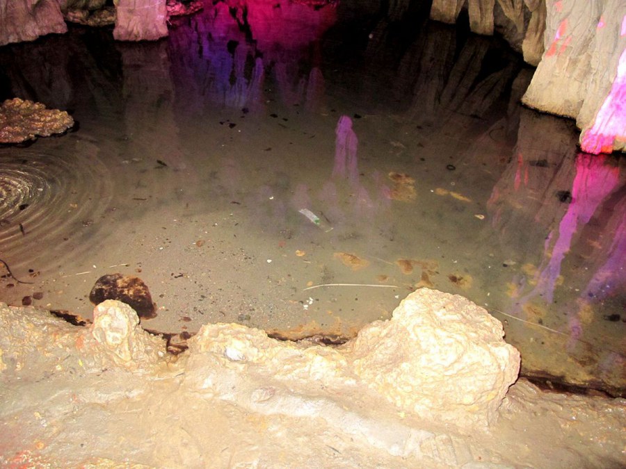 ���� 014_����.jpg