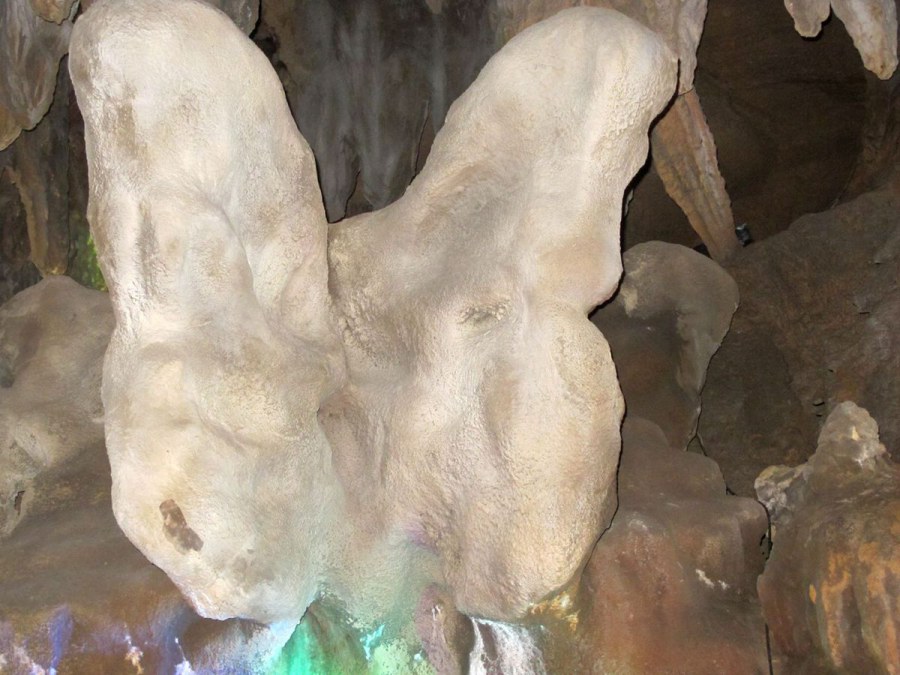 ���� 022_����.jpg