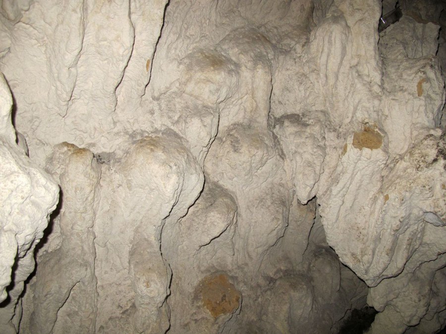 ���� 026_����.jpg