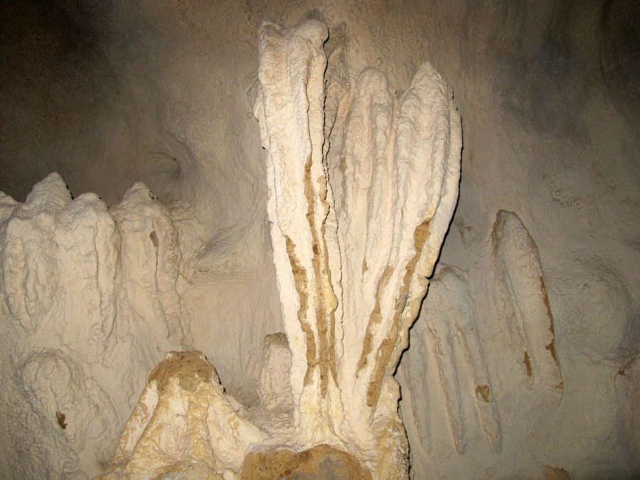 ���� 029_����.jpg