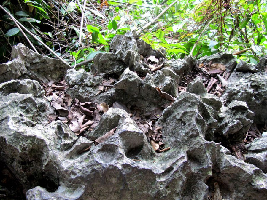 ���� 056_����.jpg