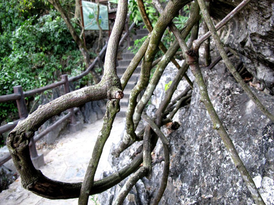 ���� 063_����.jpg