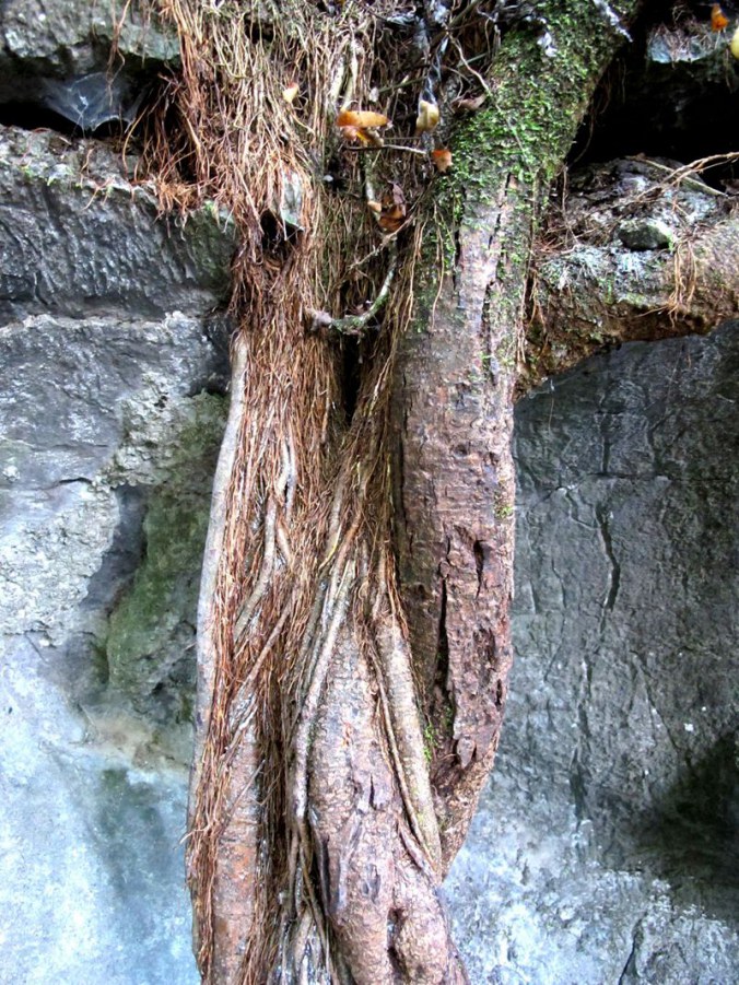 ���� 073_����.jpg